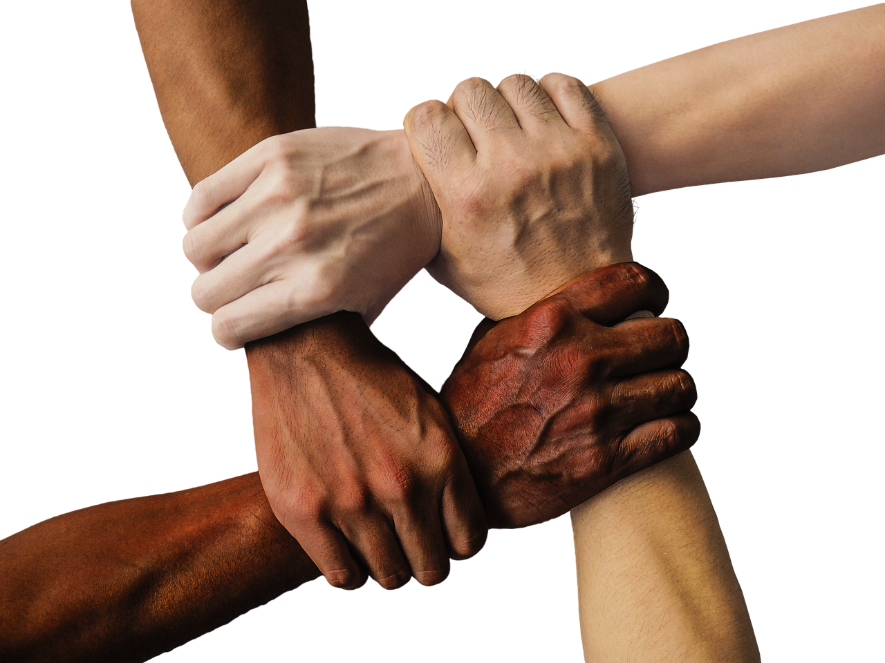 Equity, Diversity and Inclusion: Building Inclusive Workplaces